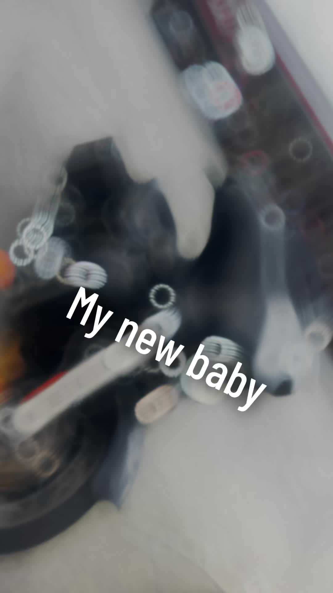 @Rebel