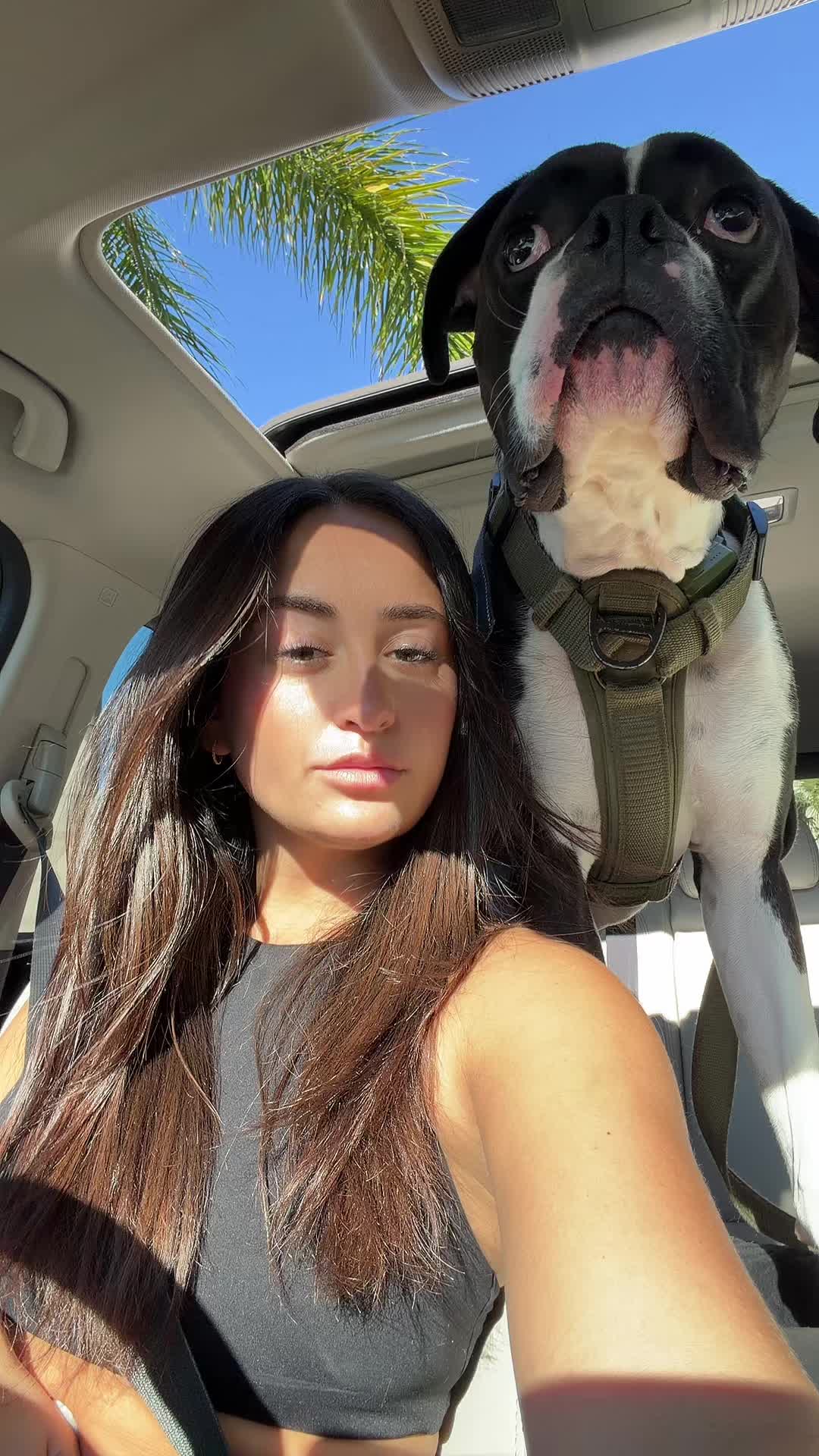 @Morganelizabeth