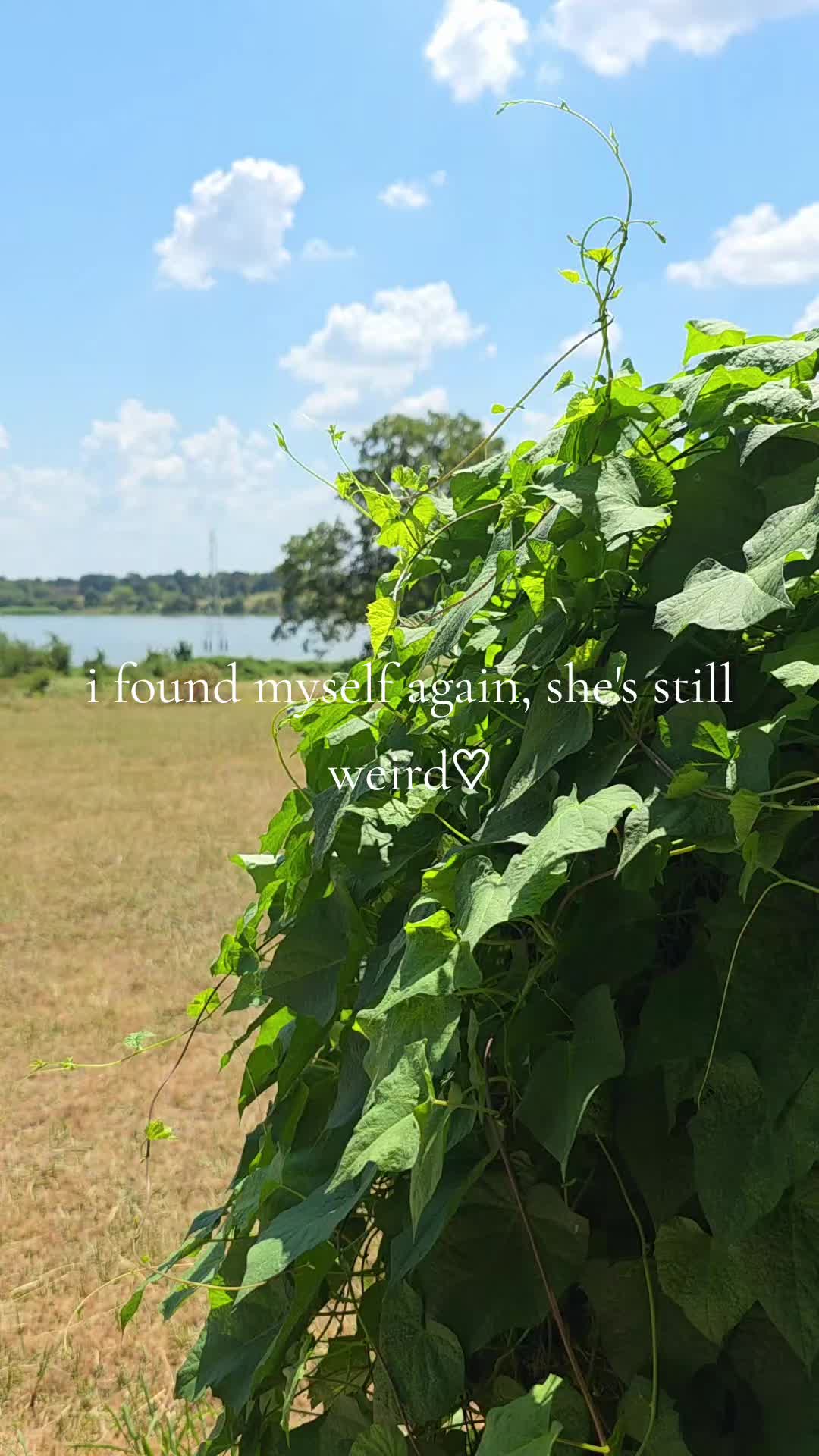 @AC
