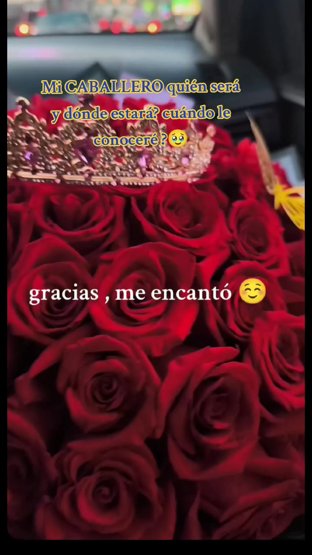 @HELEN❣️ 🐝🦋 RAYO DE LUZ 🦋🐝