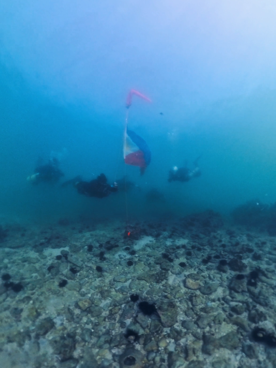 @🇵🇭Seantric Diving🇦🇪