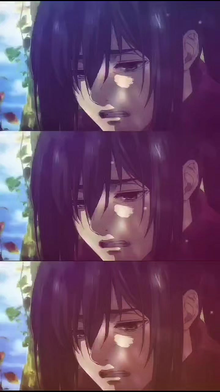@mikasa•୨ৎ