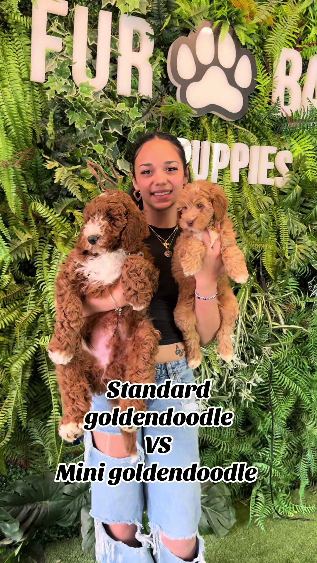@FurbabyPuppies