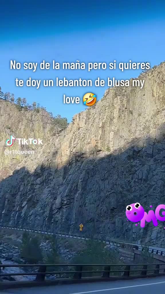 @El cachorrito 🐕 502👍