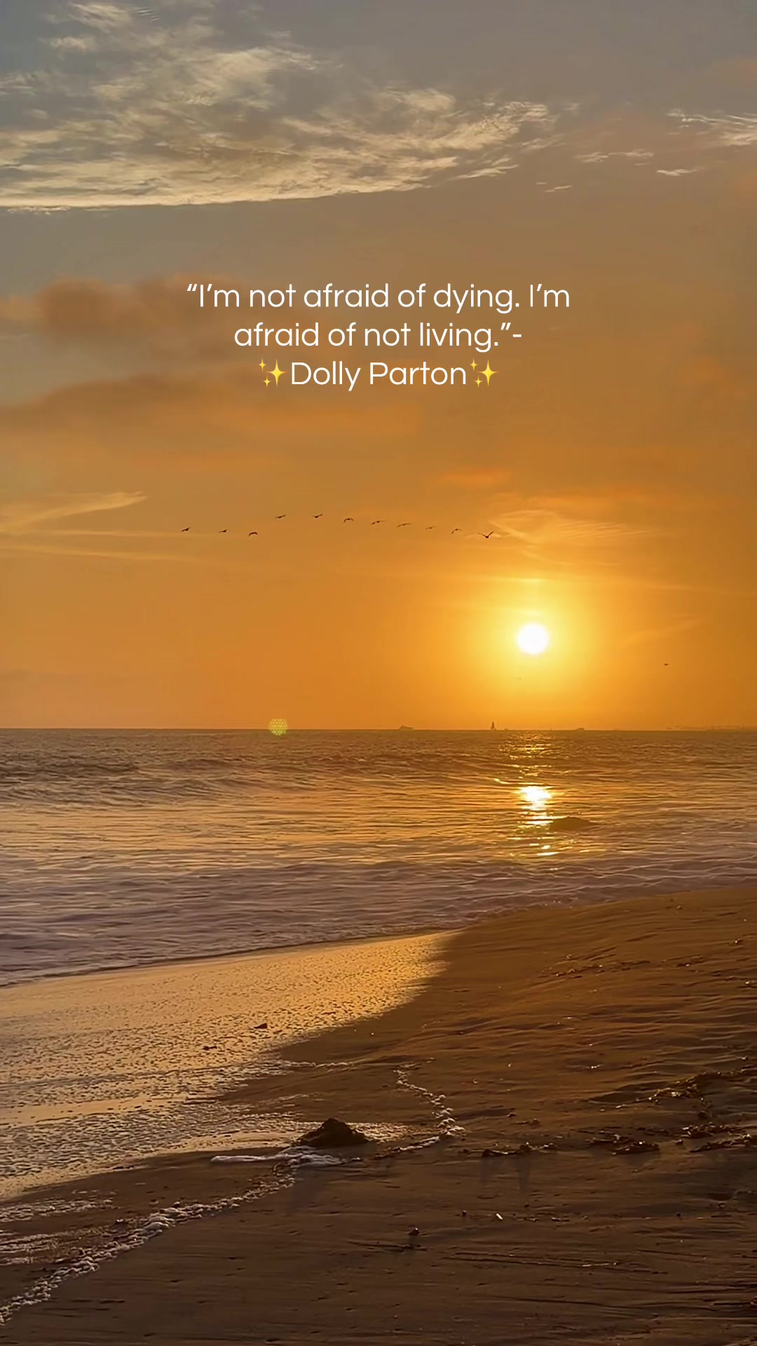 @๐
Sunset Lori ๐