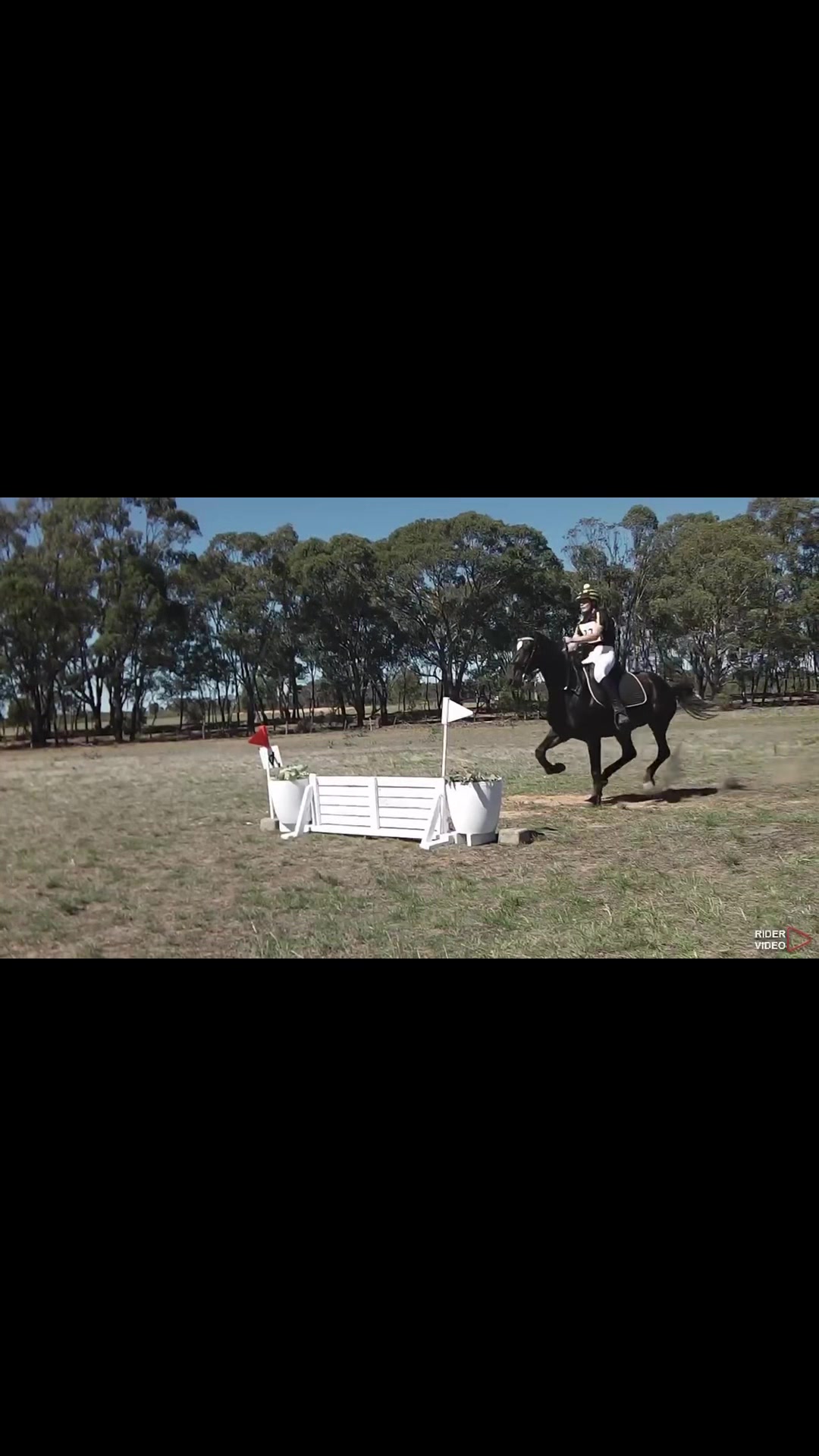 @t.equestrianxx