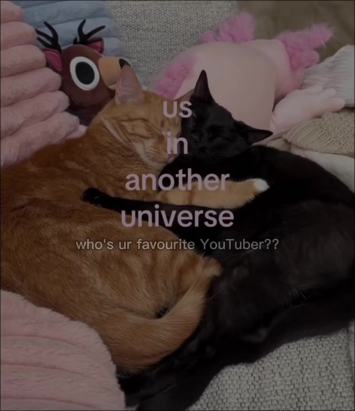 @eves and kiki editor