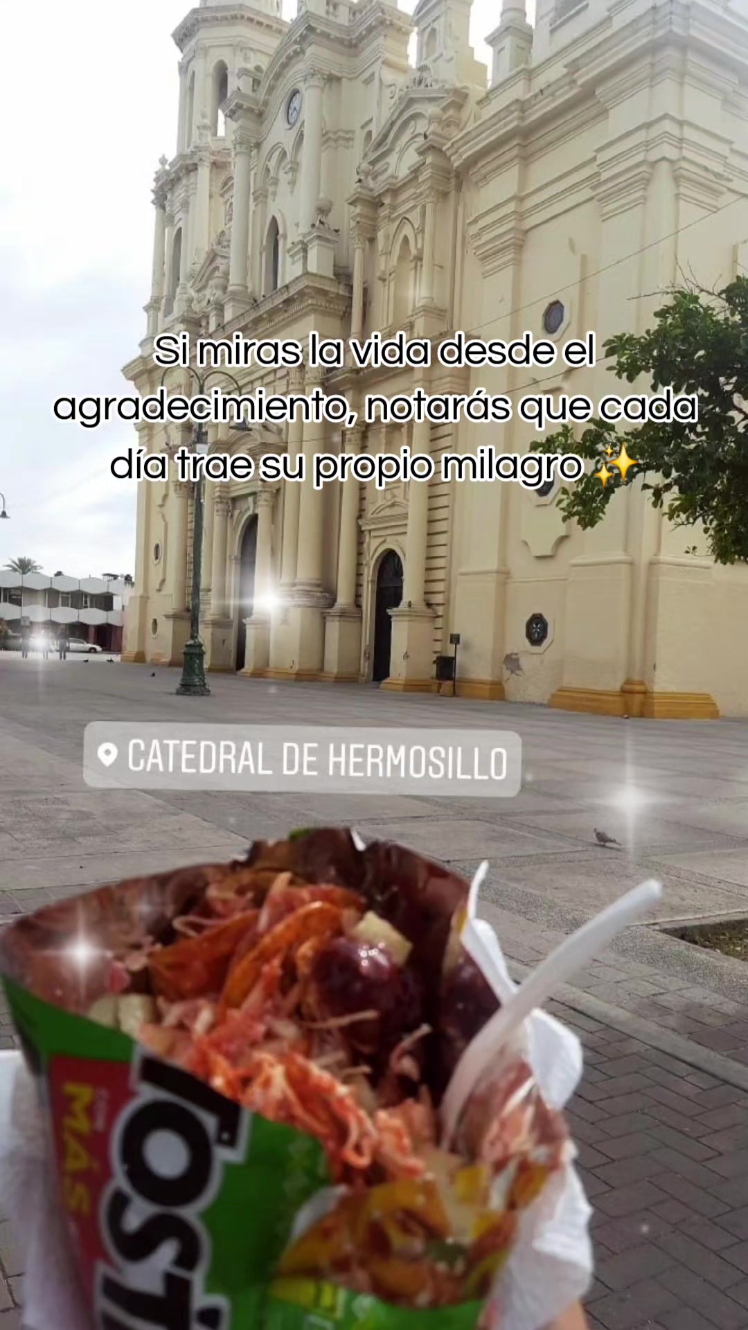 @🦋tA𝐋ⓘ𝐓𝐀🦋 | MIS GATOS Y YO