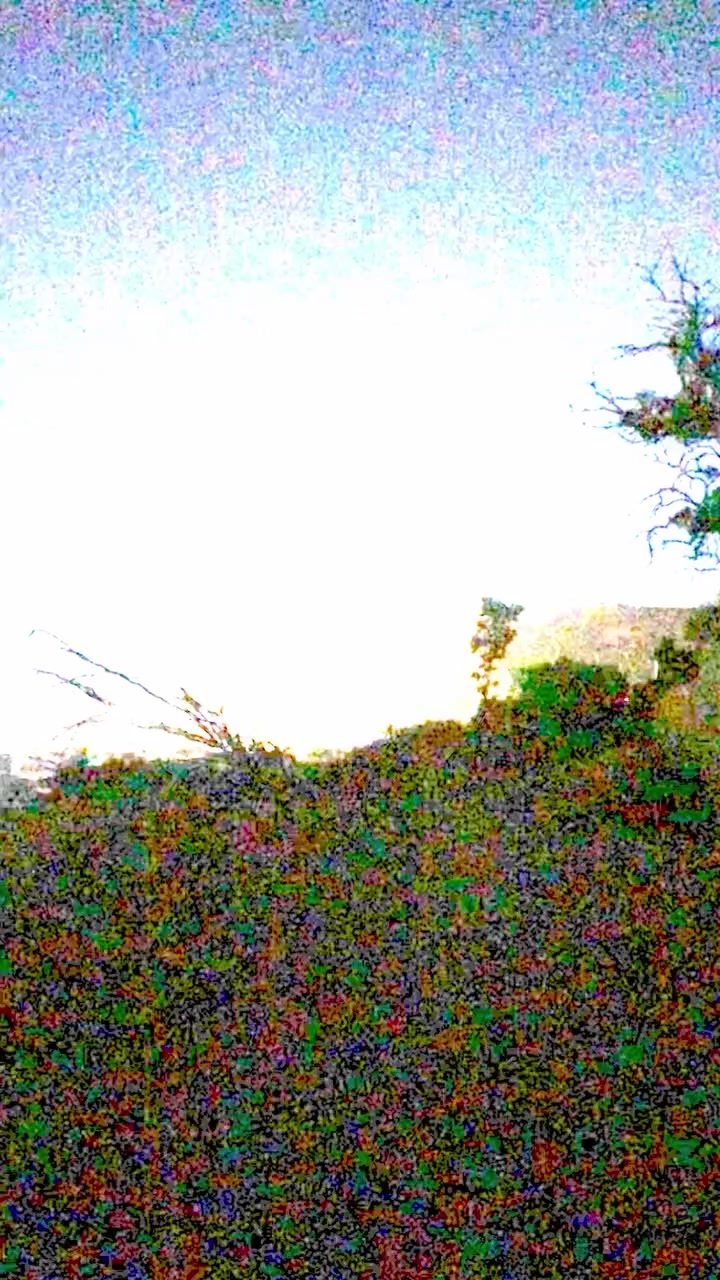 @ʏϟꜰ