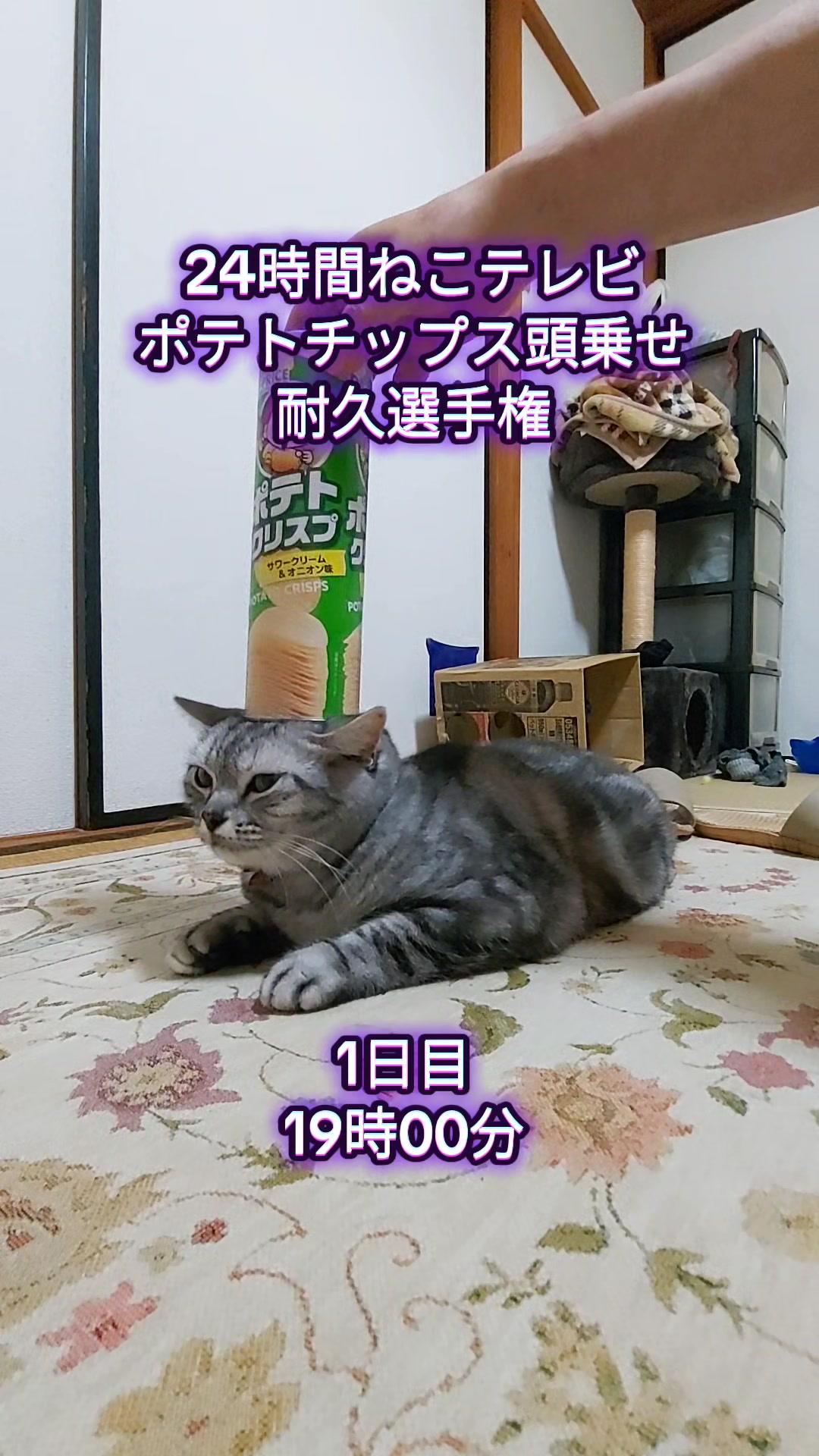 @ジュリちゃん