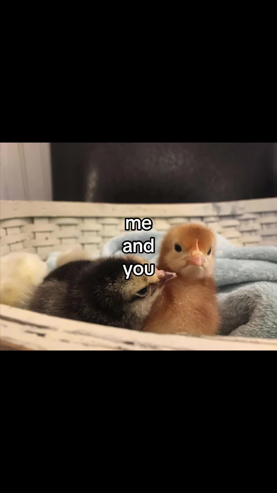 @cupcake