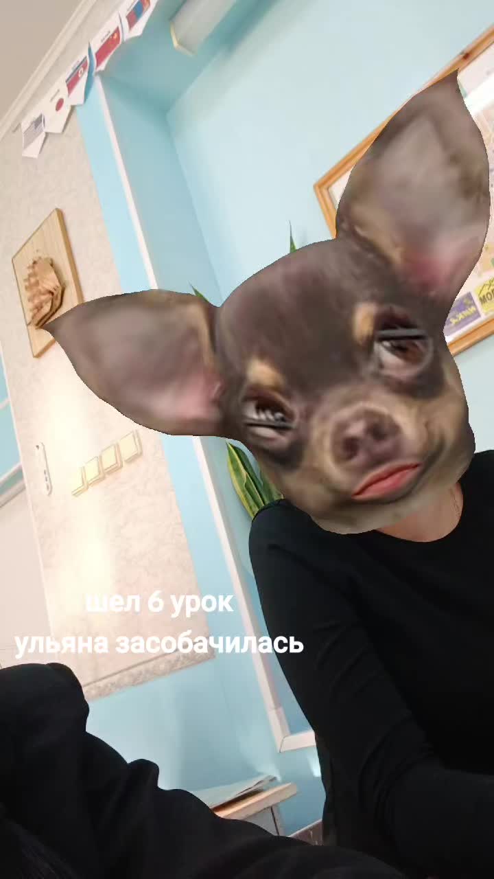 @🔪✨️