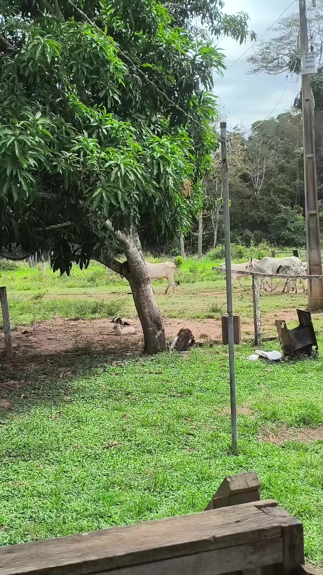 @Marin&ecirc;z