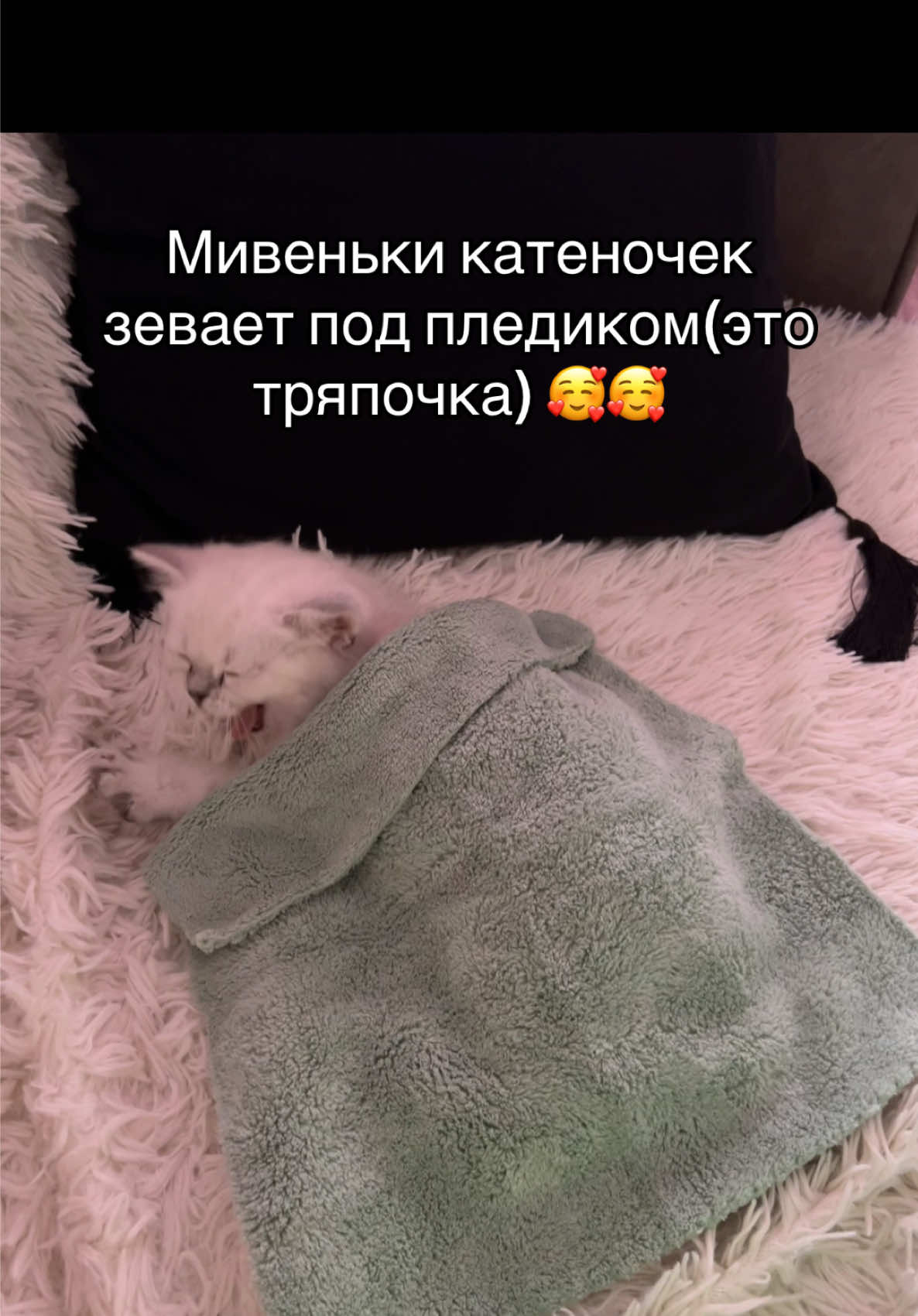 @Катенька♡