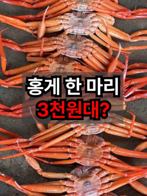 @싱싱헌터스