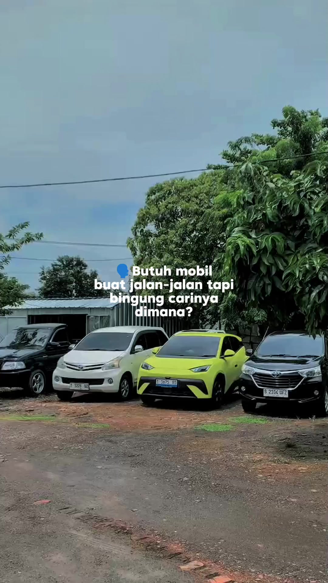 @ZoomauprojectKRW