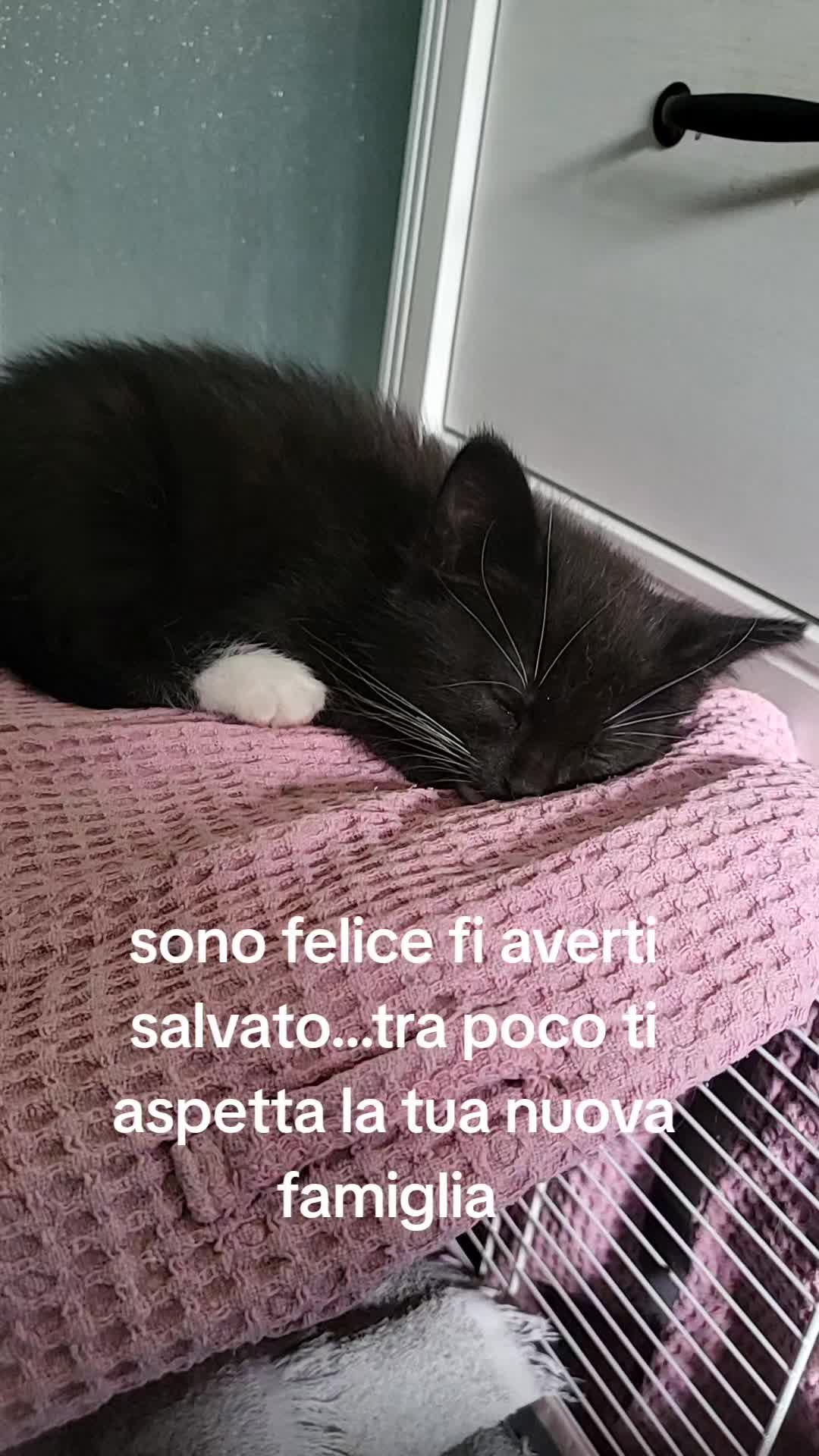 @Valentina Orlando