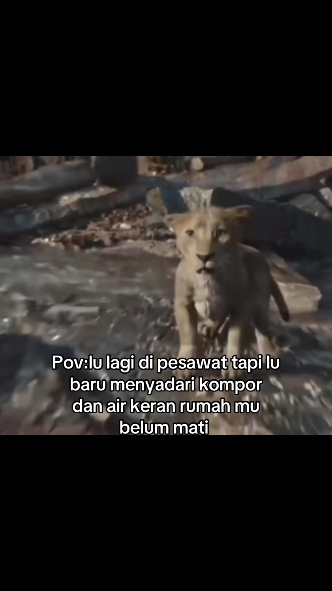 @FolkCatLikeMe