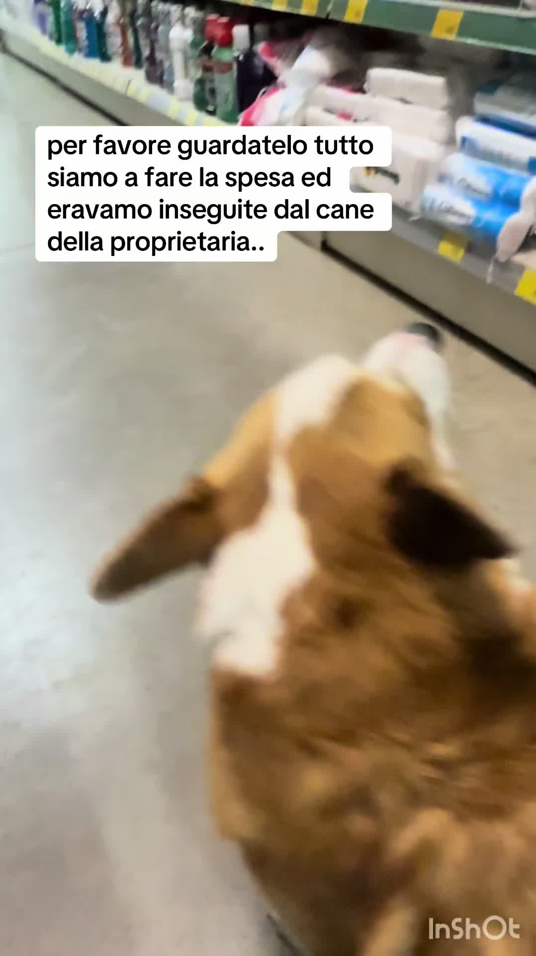 @Gio