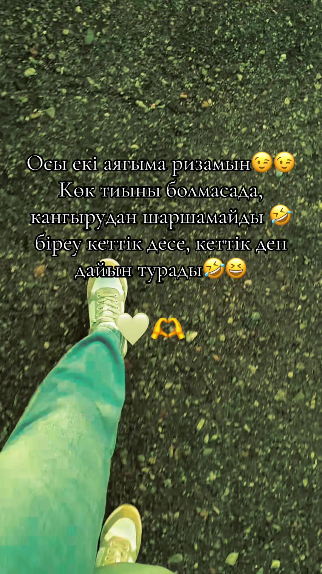 @༺🕊️ 𝓜𝓸𝓵𝓵𝓲 🕊️༻
