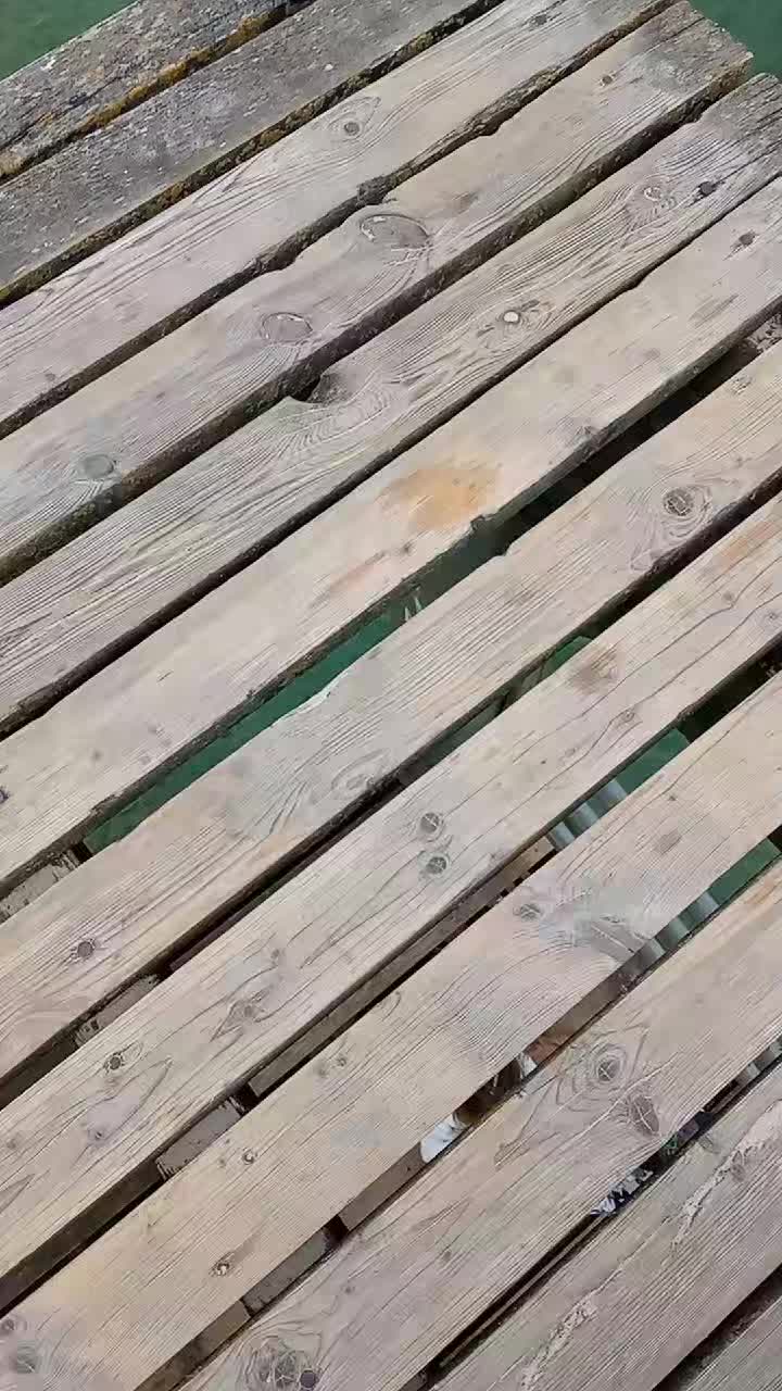 @_Marchewa_🇵🇱_