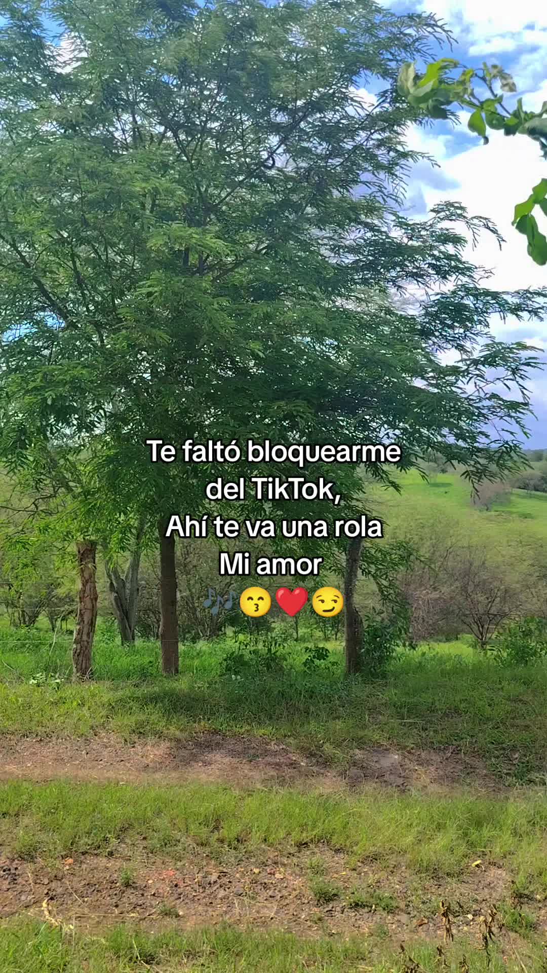 @🌺kary🌺