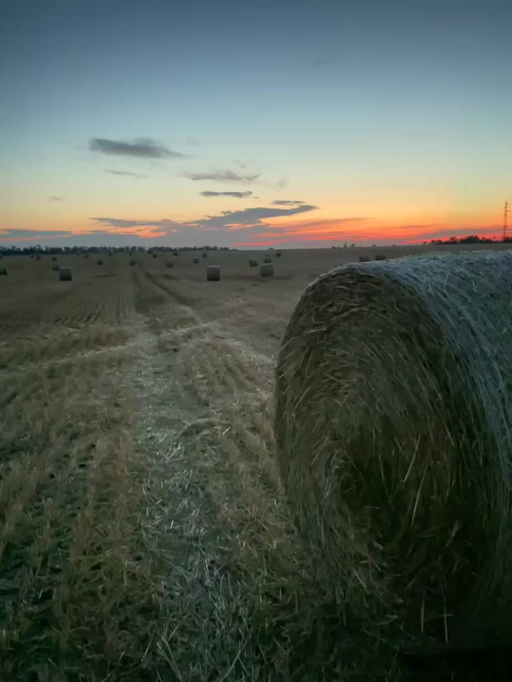 @к254еу323