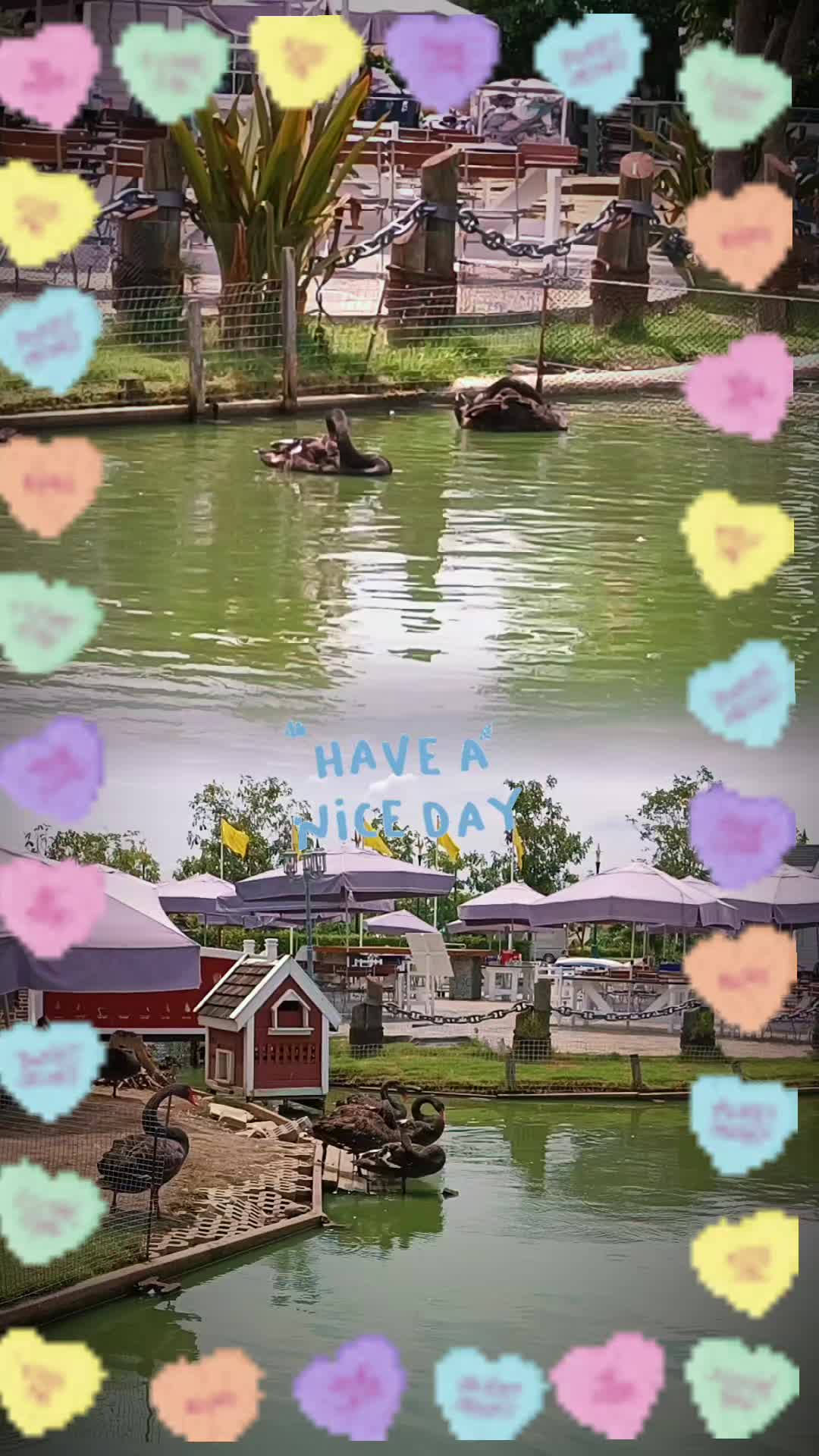 @Kaki222