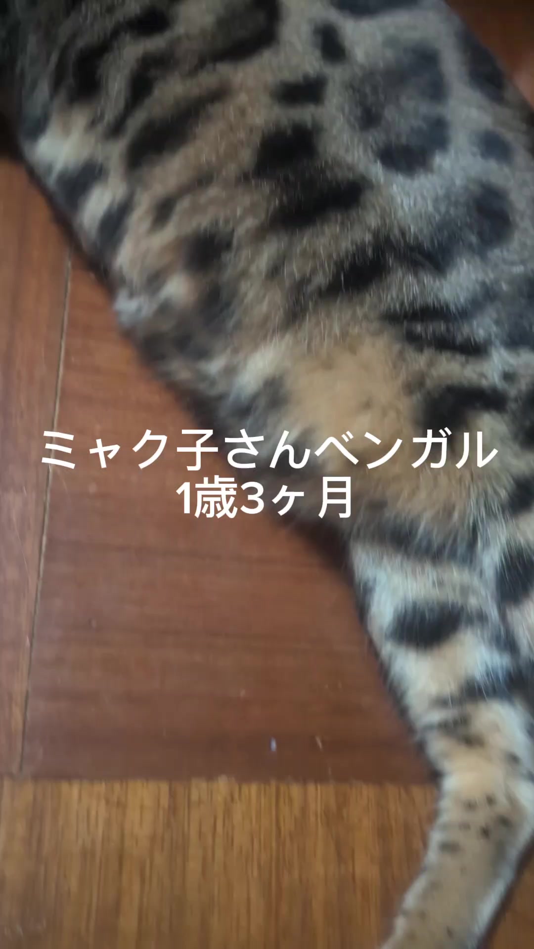 @睡眠プロデュース