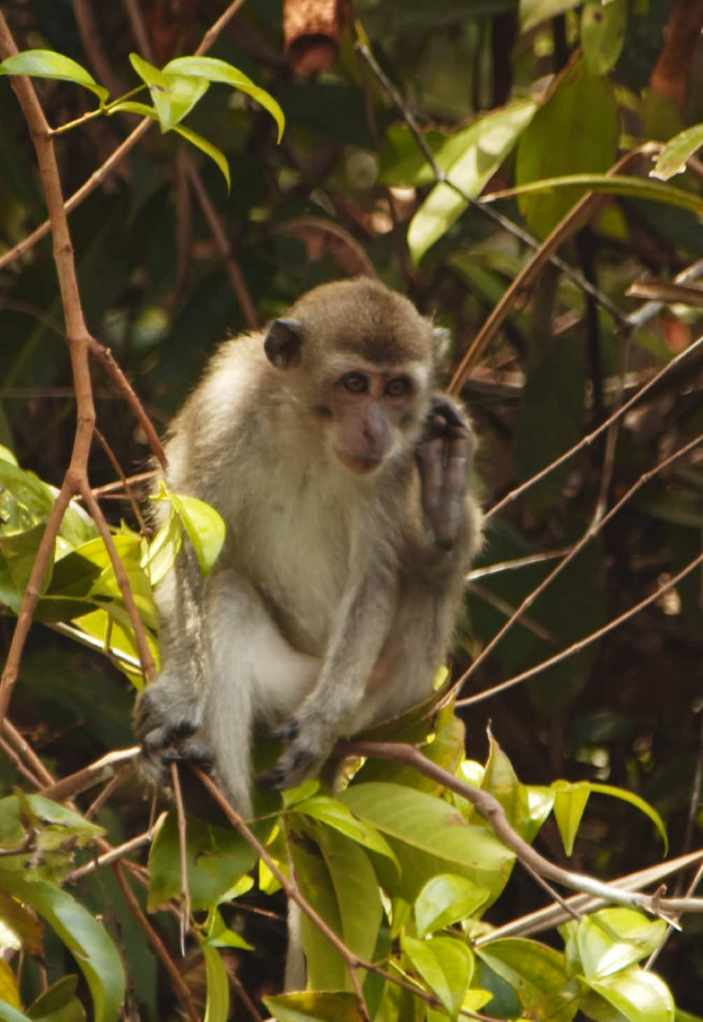 @Kai Meyer | Wildlife Filmmaker