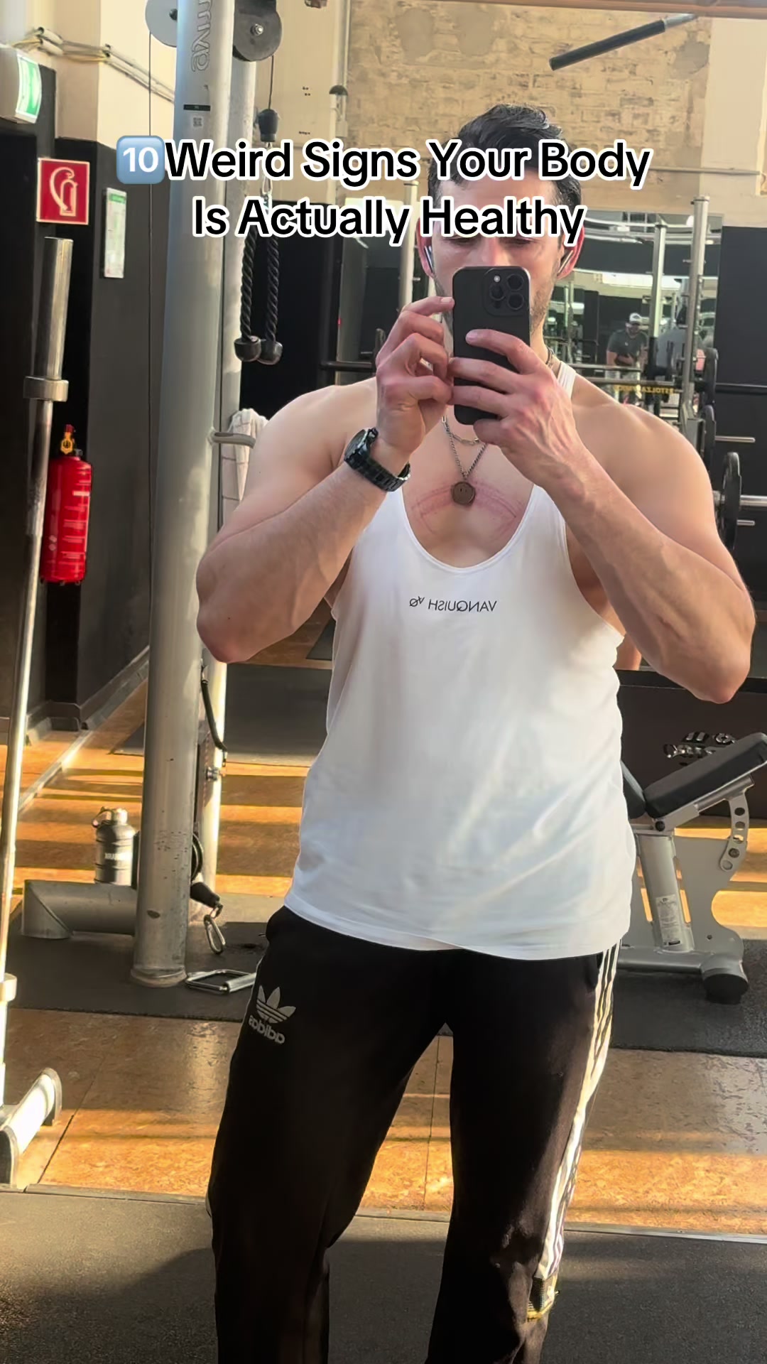 @milo.aesthetic
