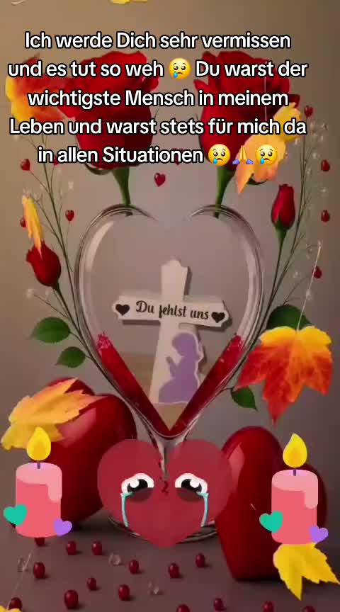 @❤️🏳️&zwj;🌈 Tik_Tok_girl 🏳️&zwj;🌈❤️