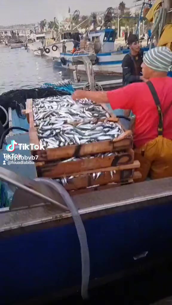 @Fouad pêcheur