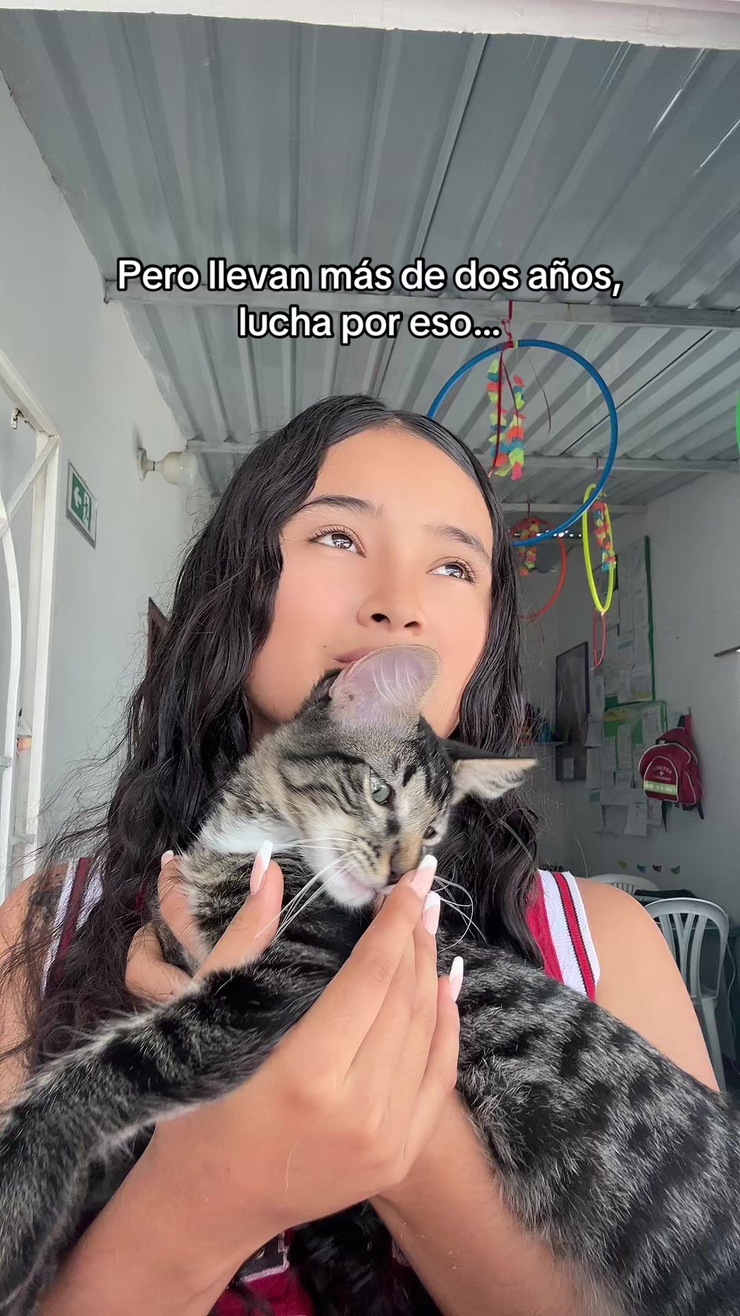 @Soy Zandy 🐍