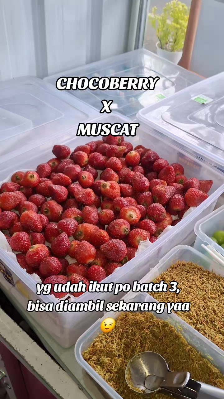 @ICHIMOCHI_PURBALINGGA