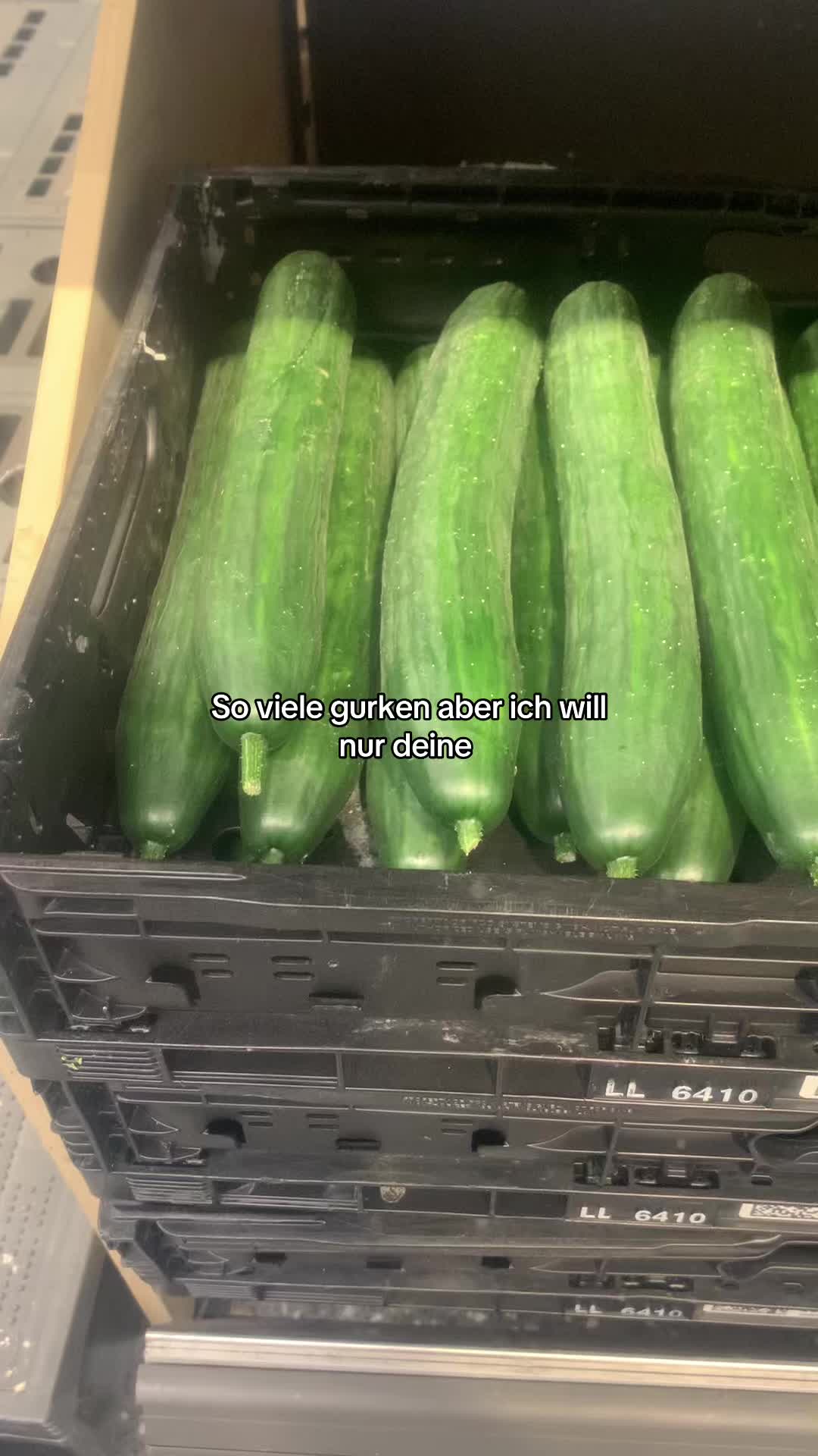 @Tyler.live