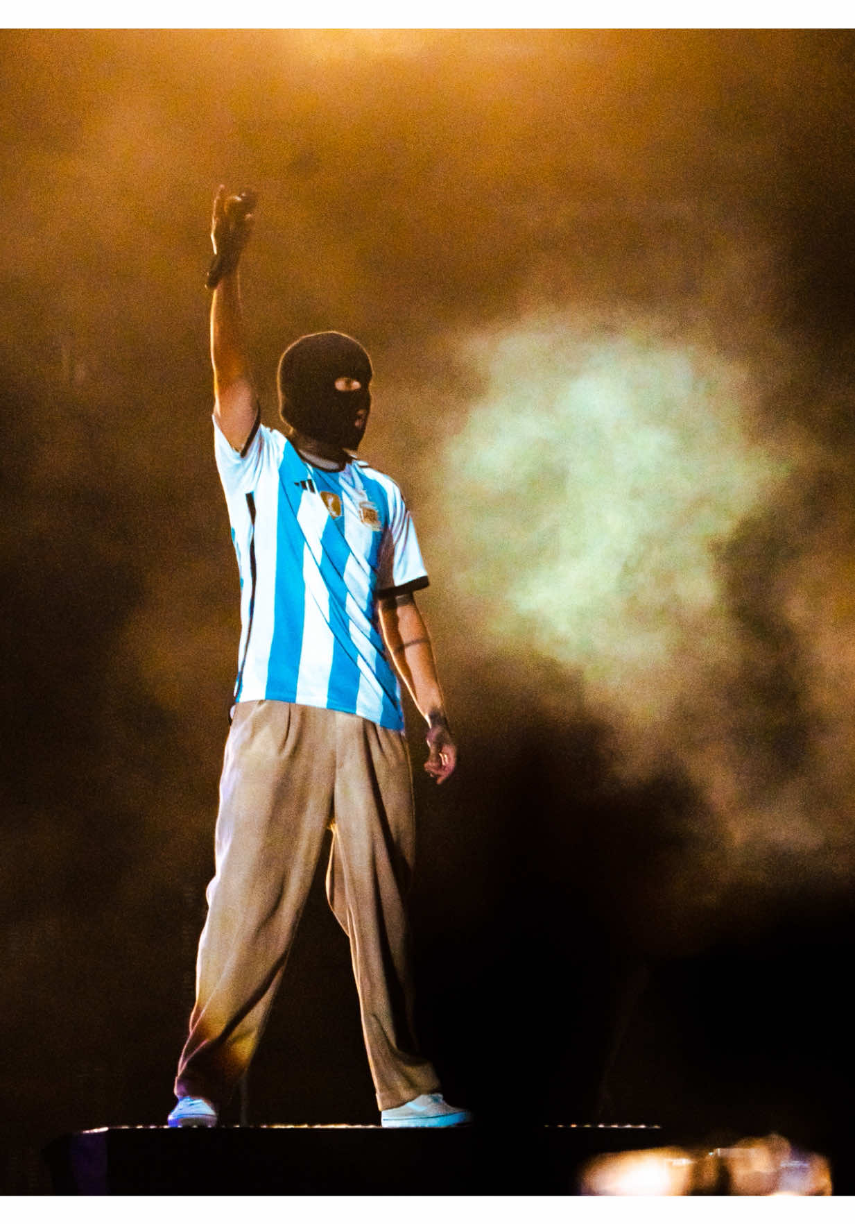 @lollapaloozaar