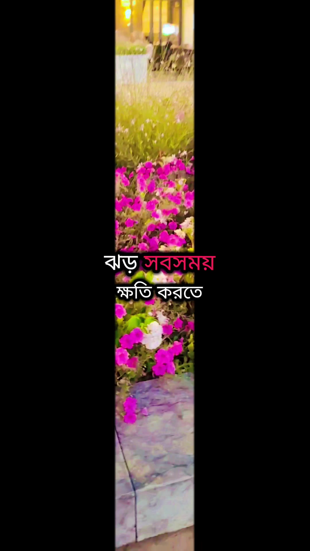 @🇧🇩Jannat🇮🇹