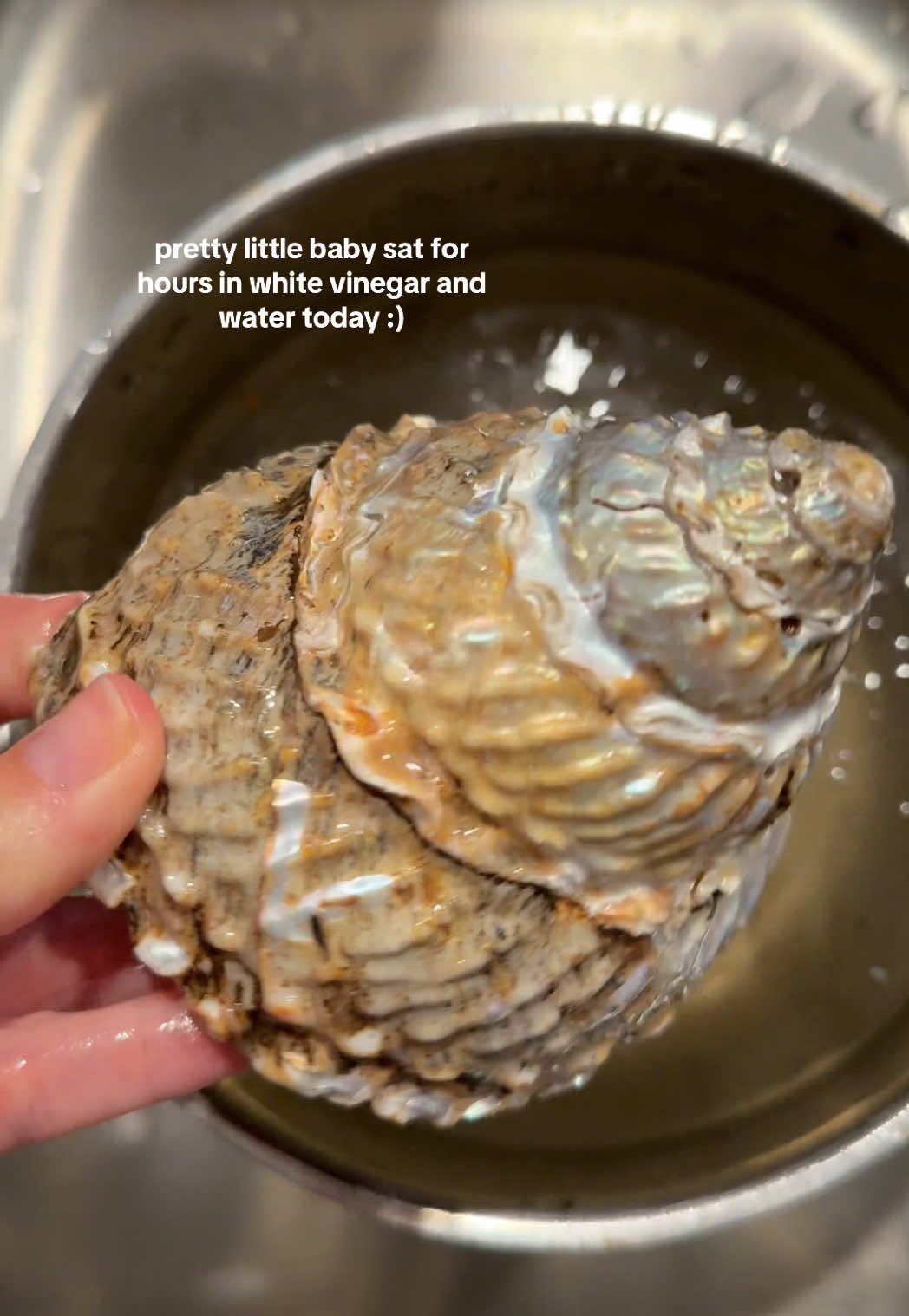 @Jamie