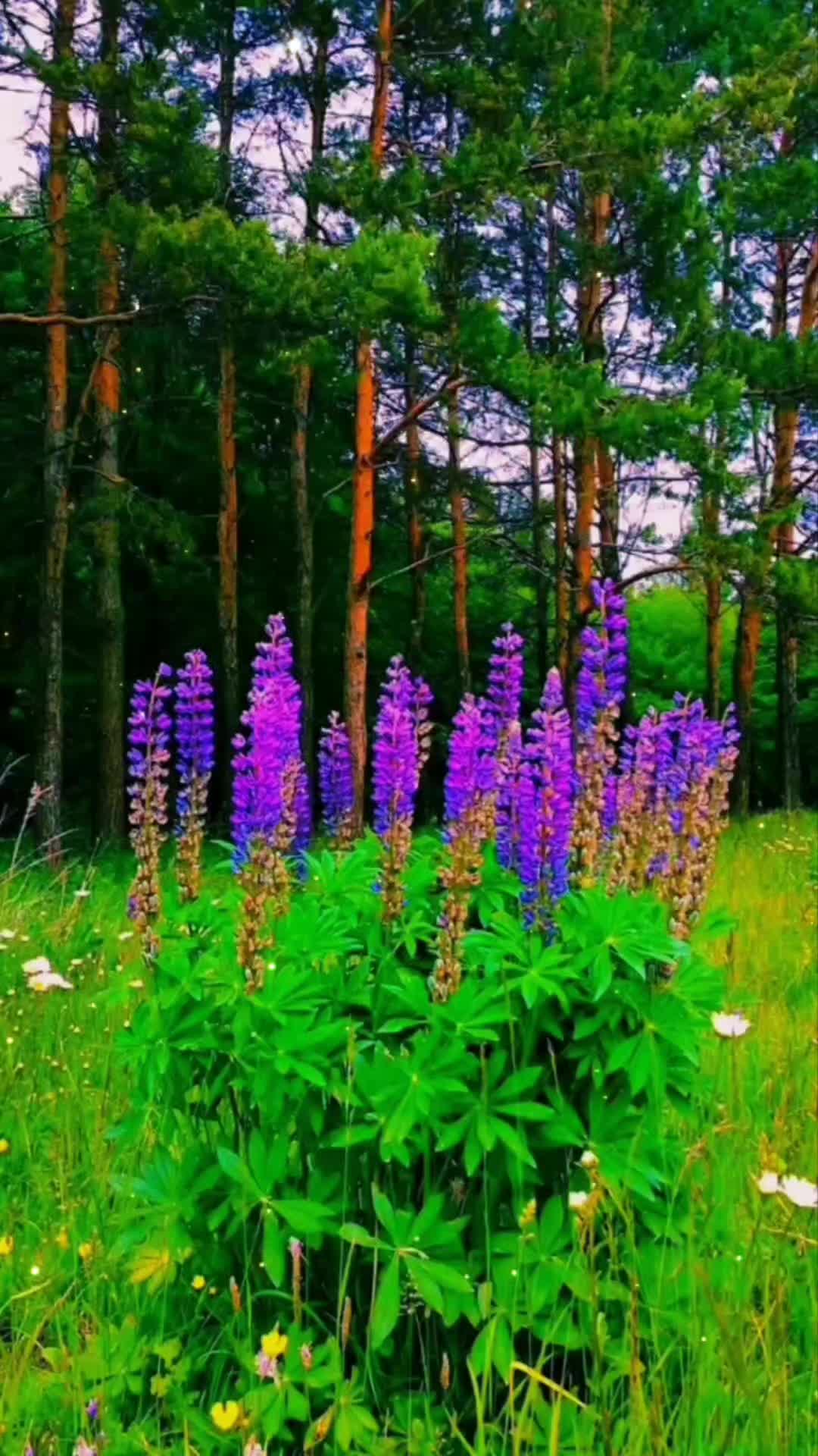 @Алиса