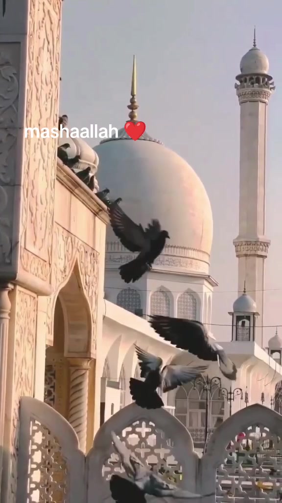 @Shahid ali
