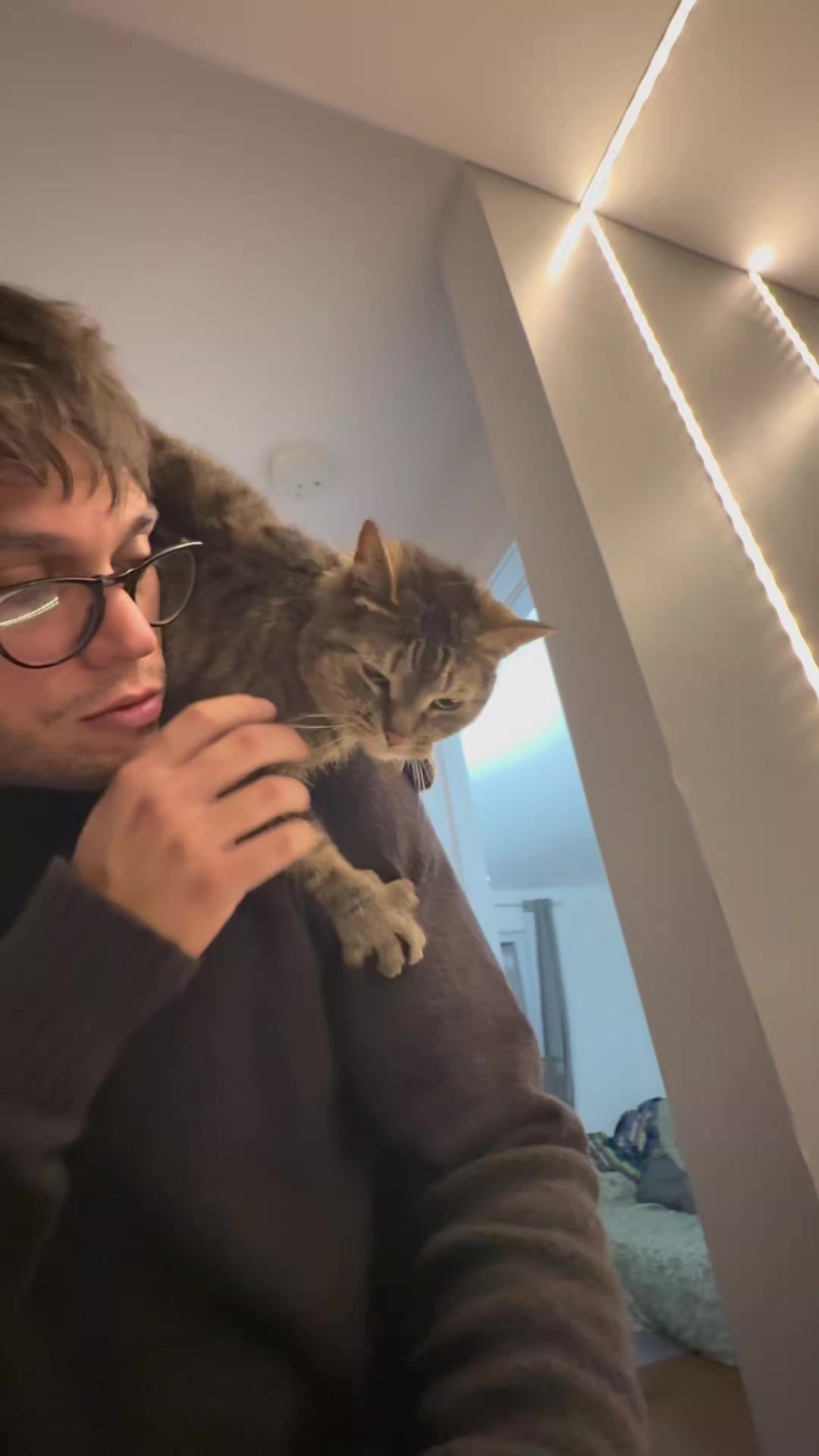@Bellarda the cat