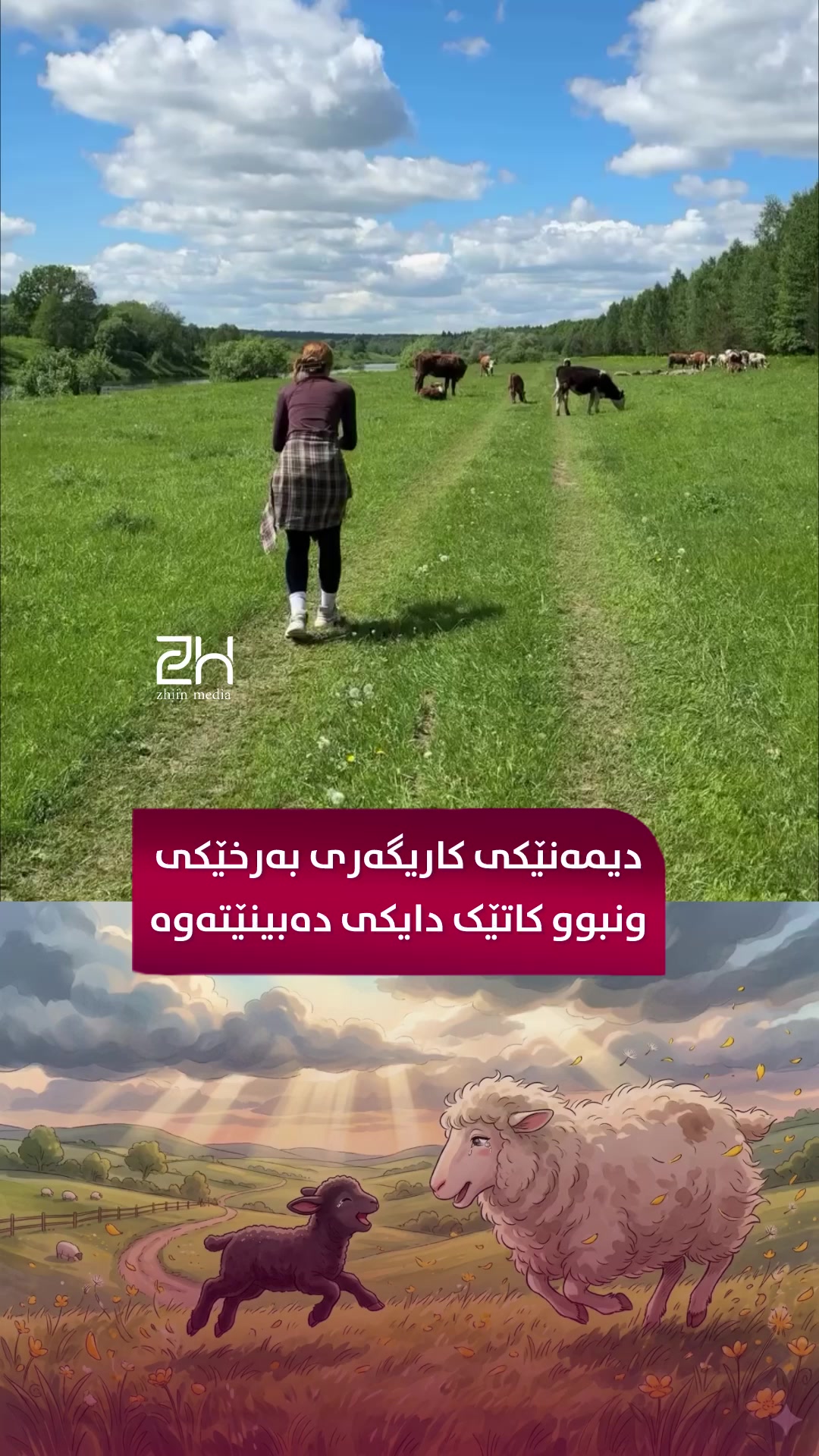 @Zhin Media