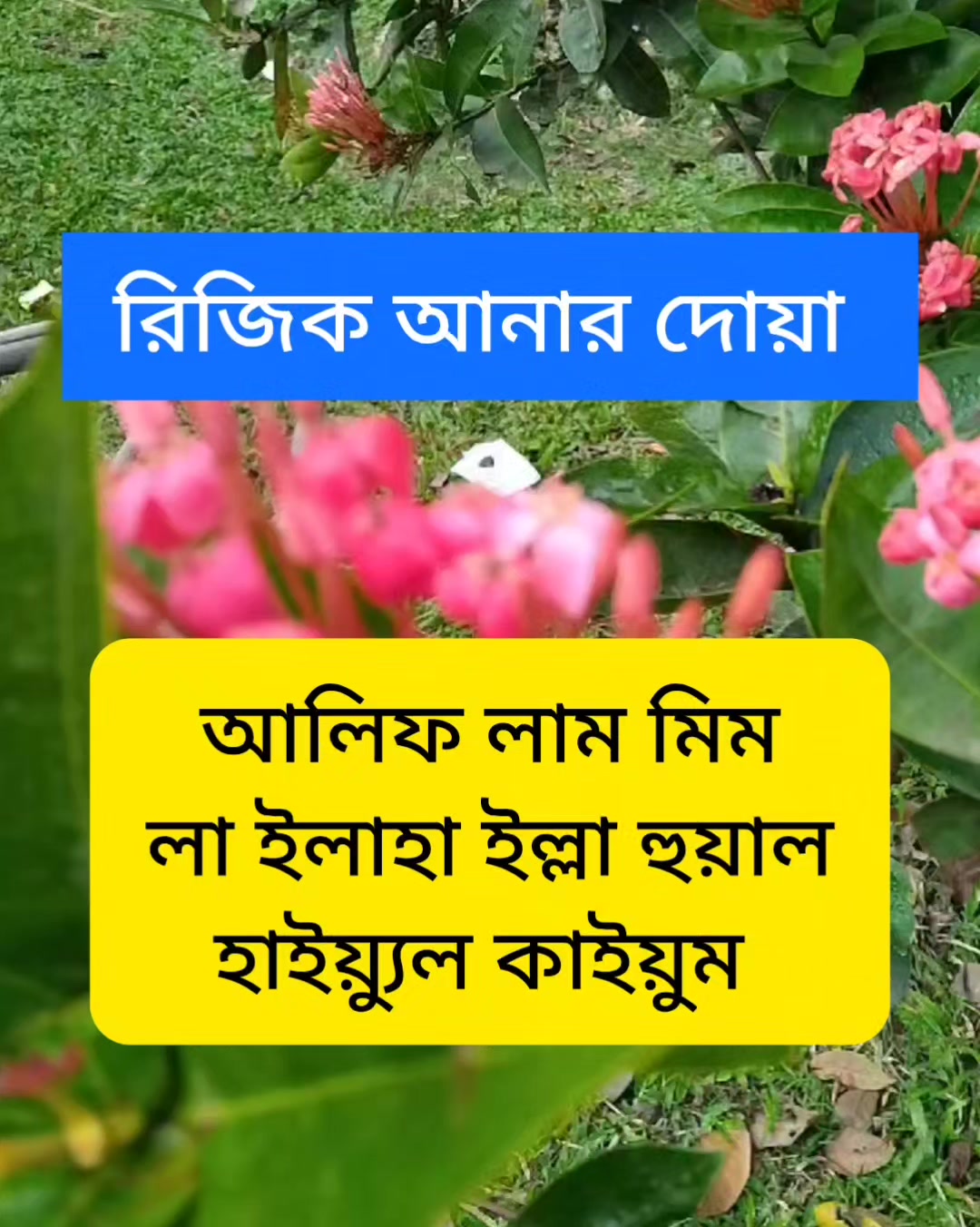 @cuisine_house