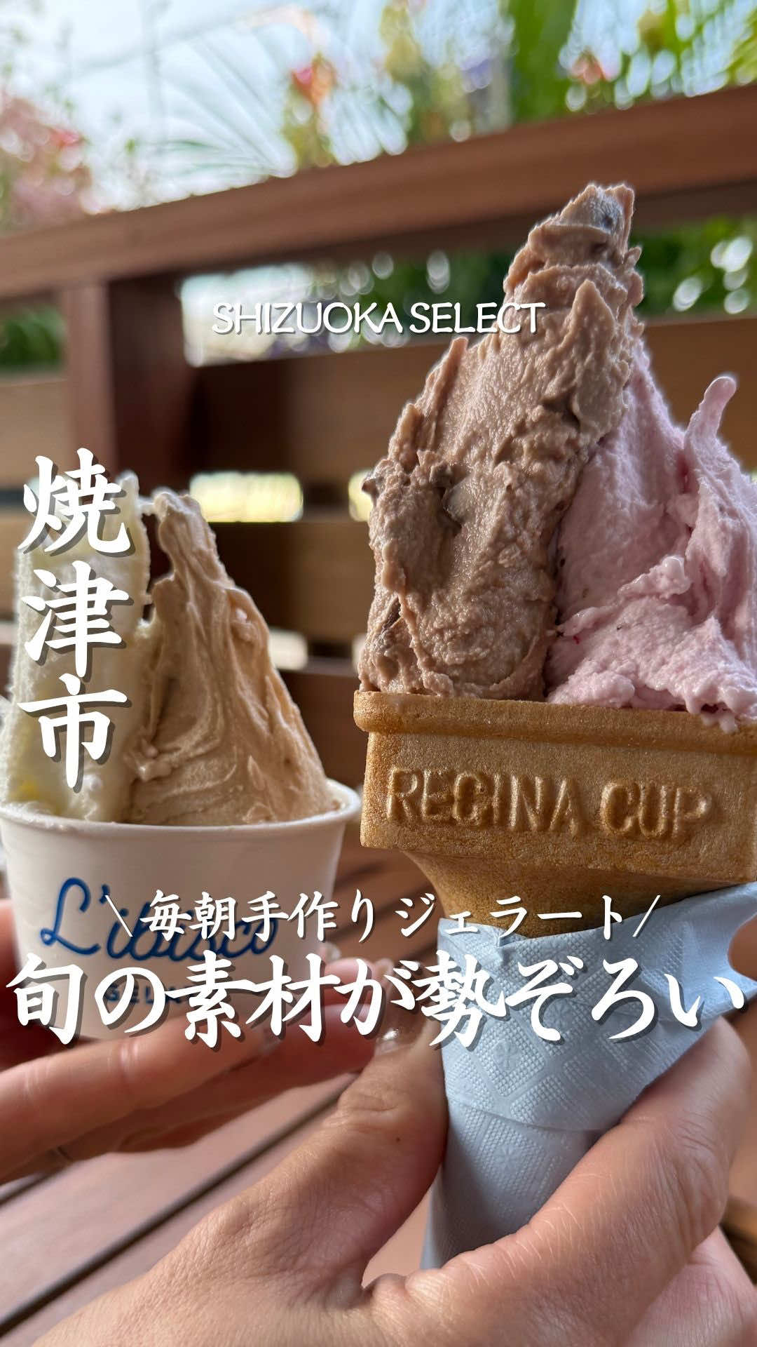 @静岡グルメ/SHIZUOKA SELECT