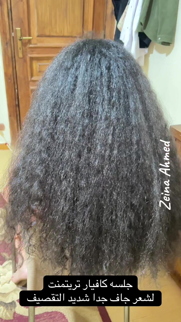 @zeina Ahmed