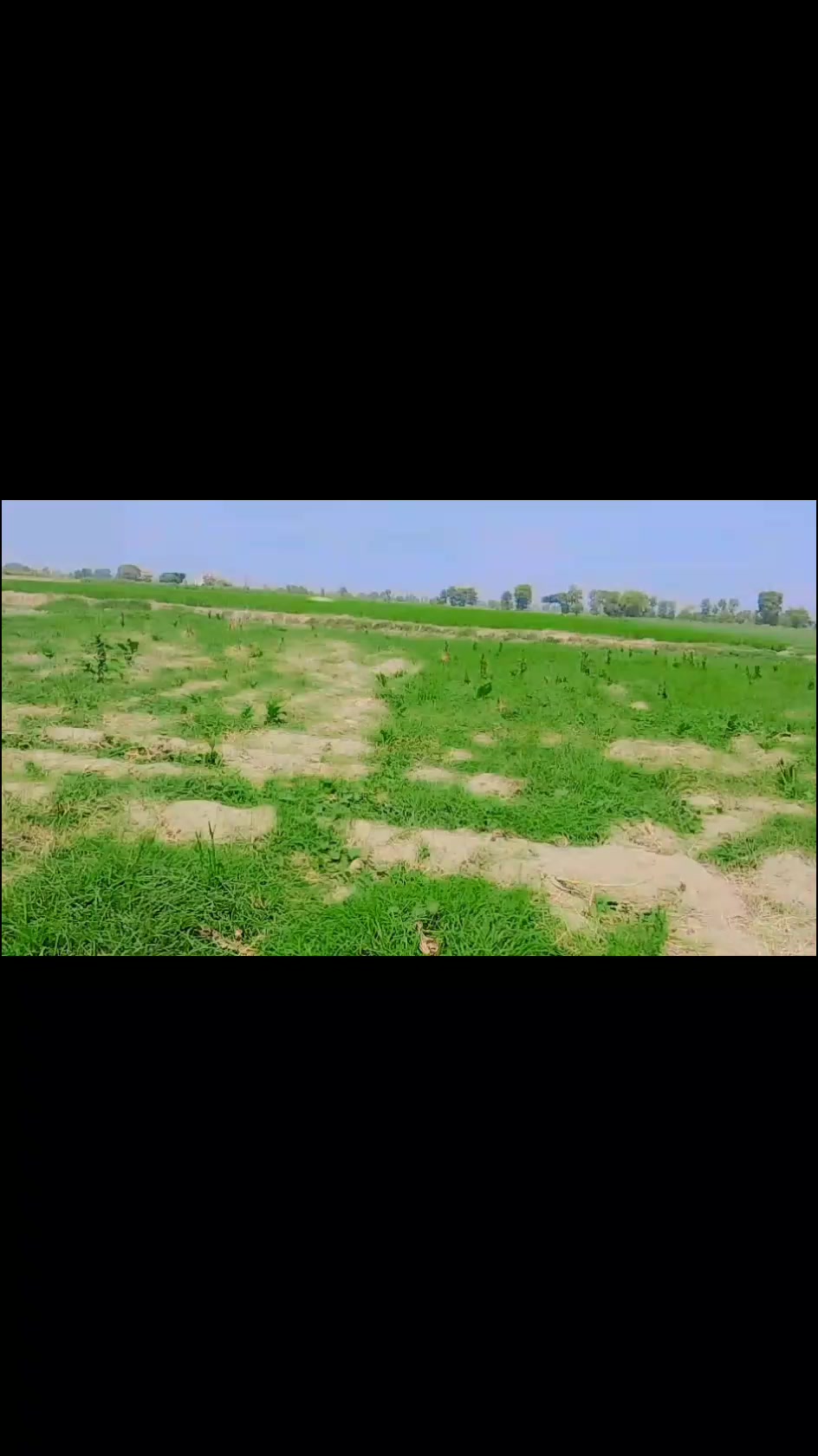 @🐄🐄🐄🐄🥀🥀🥀❣️❣️03287490091