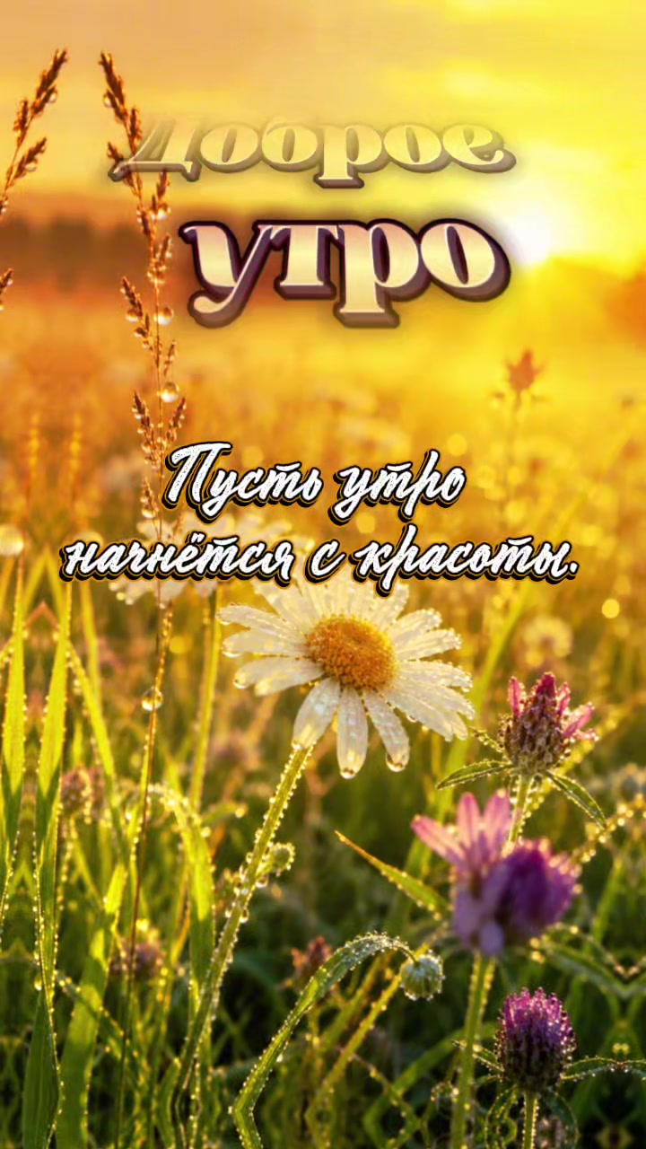 @🎈Открытки 🎧🎼