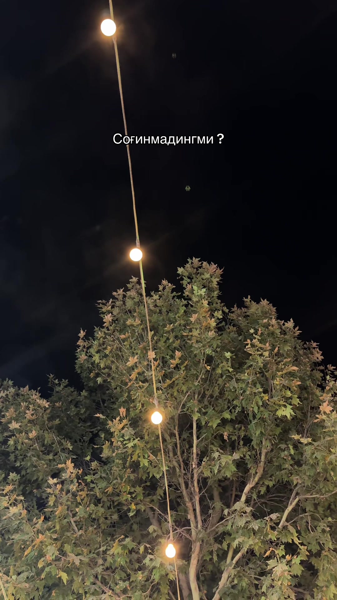 @Февраллик🩵