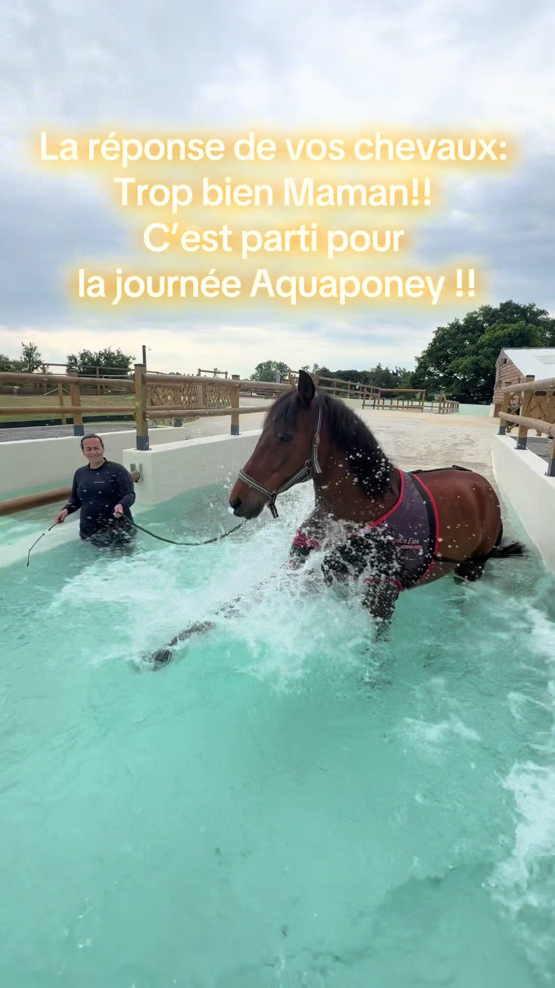 @Centre BienEtre Equin & Canin